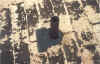 12.jpg (63189 bytes)