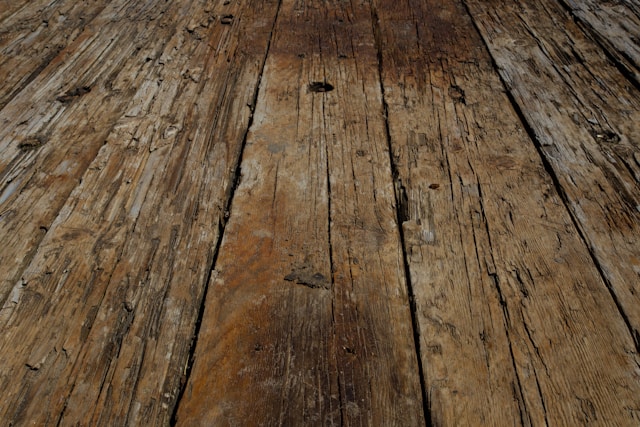 Home Inspection Rome GA: How Crawl Space Moisture Intrusion Can Lead to Mold Growth and Wood Rot